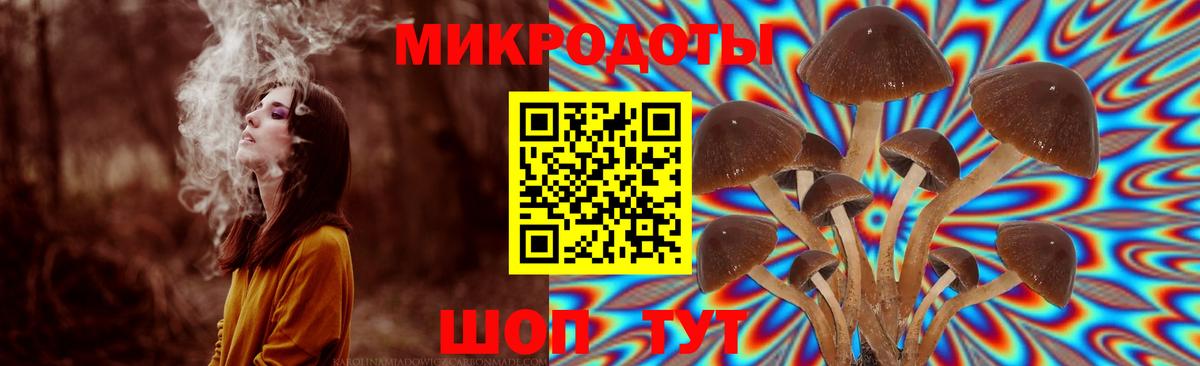Псилоцибиновые грибы Magic Shrooms  Галлюциногенные грибы Psilocybine cubensis  Дмитров  Вход с VPN 